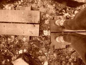 10441932_10100229579343397_1020732077844310904_n